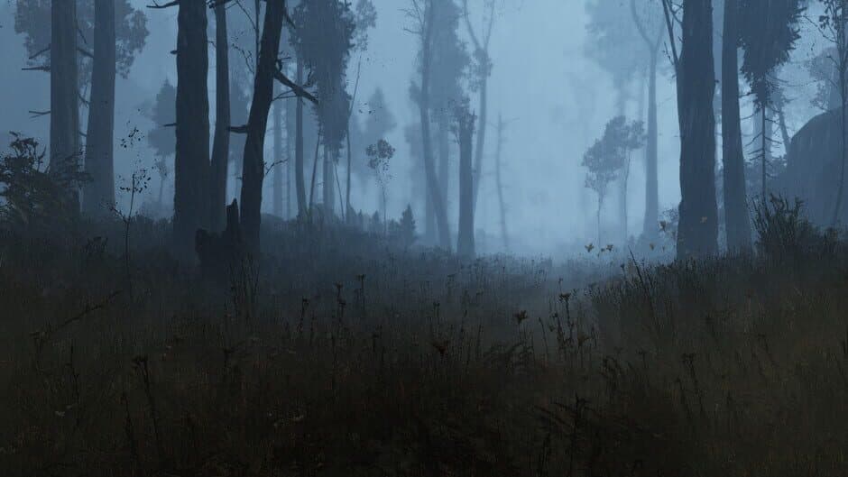 The Land of Pain banner